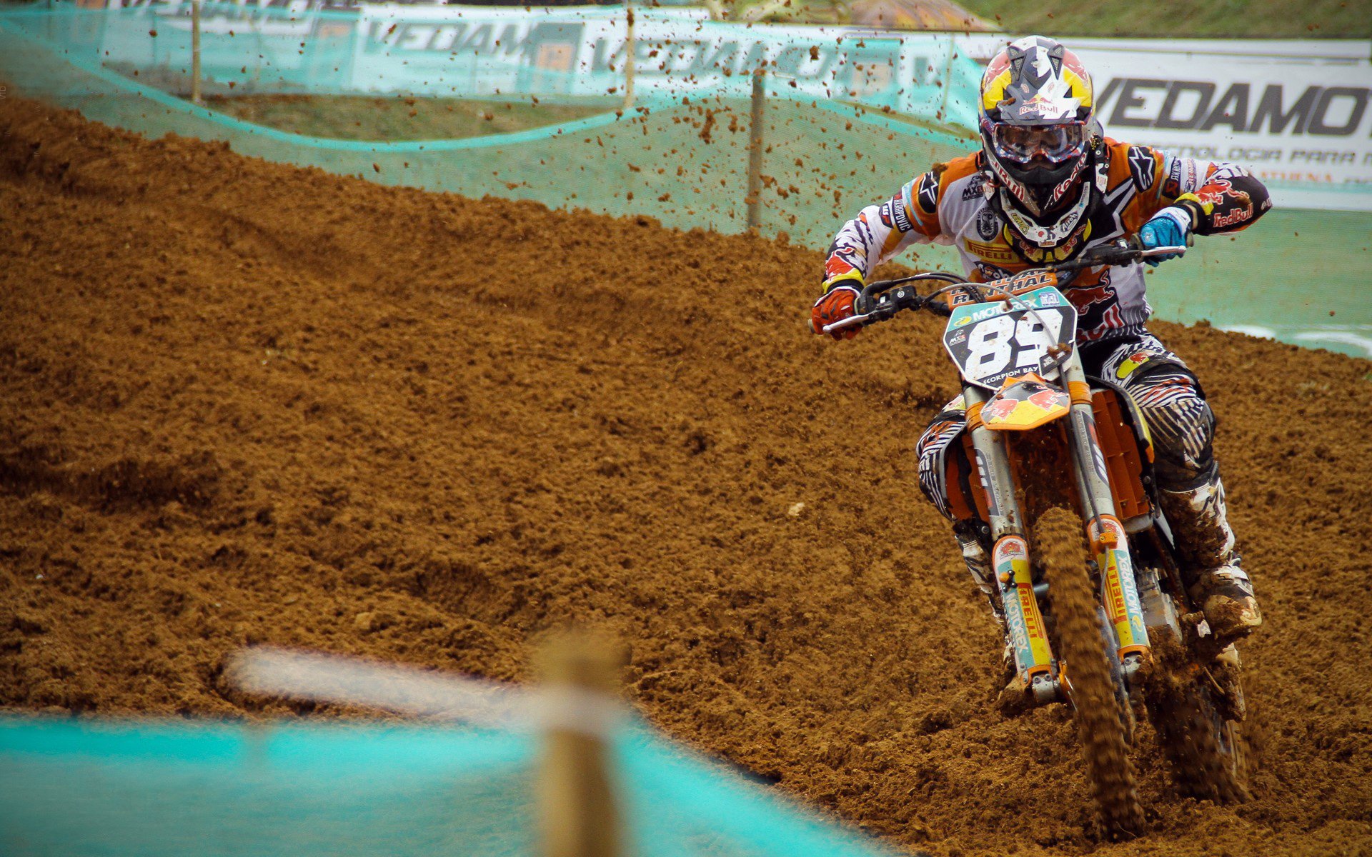 Team Liquid粉丝日活动圆满举行